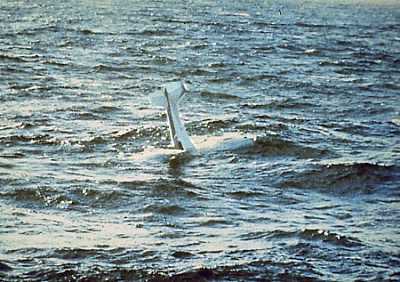 Ditch3.jpg (24841 byte)