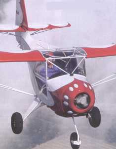 KITFOX2.jpg (7325 byte)