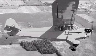 Sportpilot8.jpg (19904 byte)
